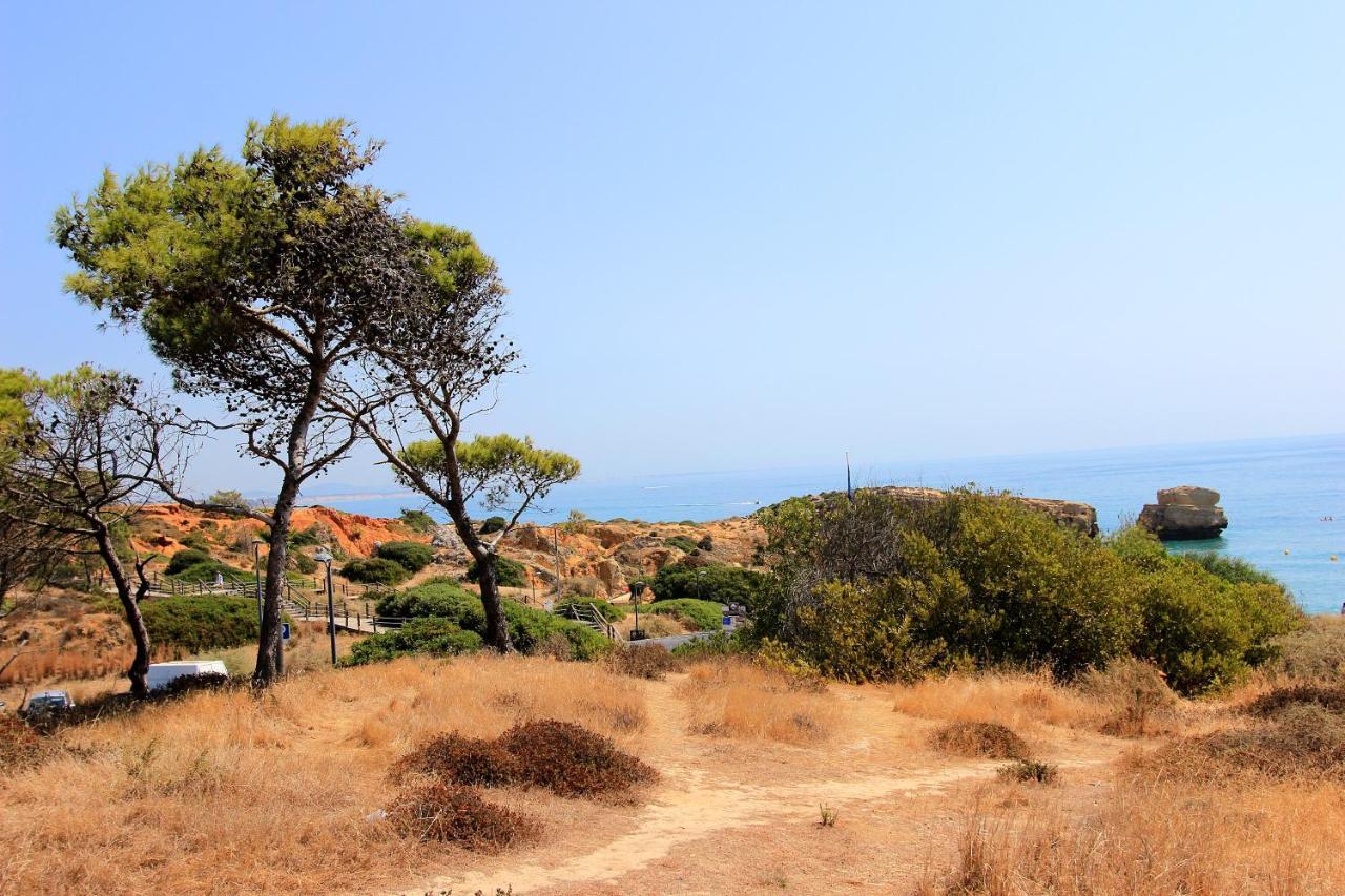 Natural Grey Αλμπουφέιρα Εξωτερικό φωτογραφία